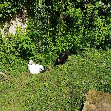 2 Chambres D 'Hotes Chez Un Particulier Avec Piscine Saint-Leu-la-Foret Εξωτερικό φωτογραφία
