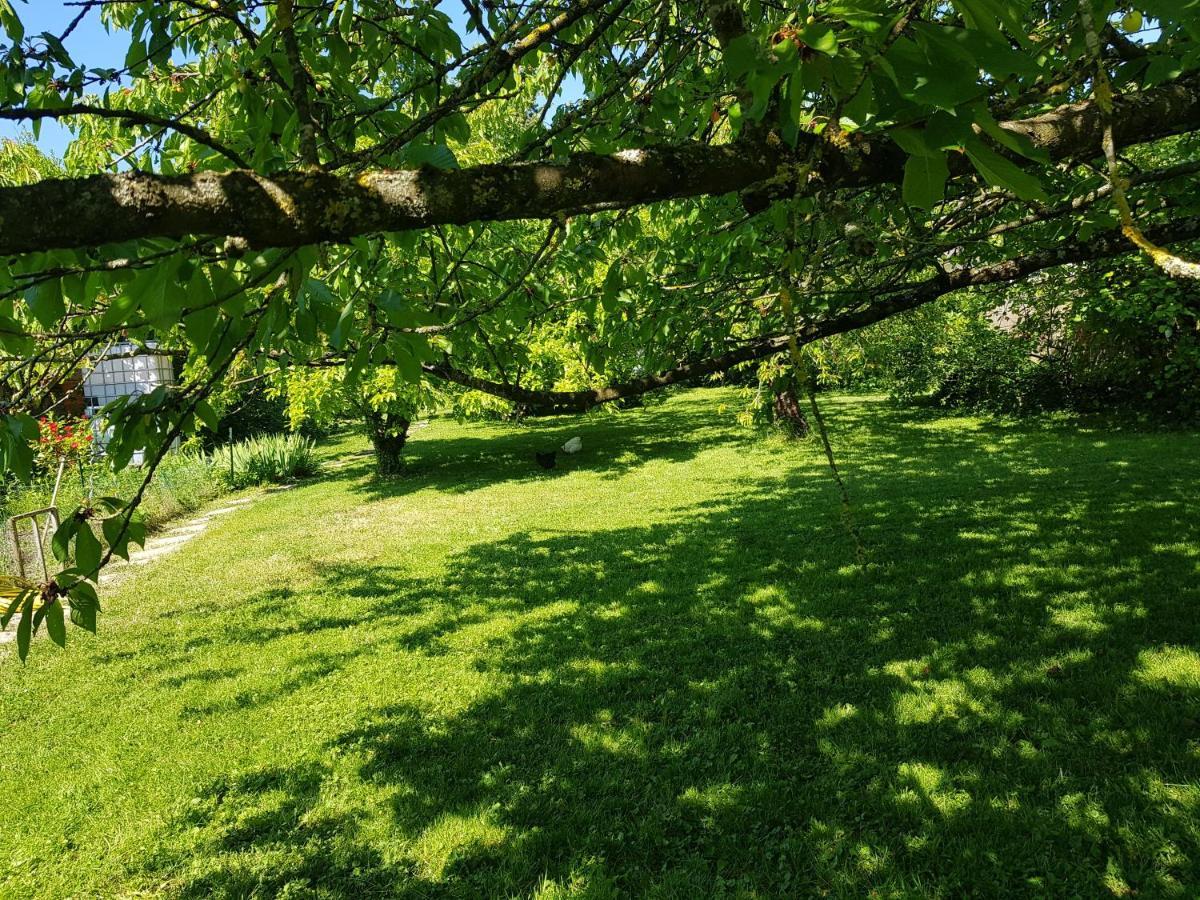 2 Chambres D 'Hotes Chez Un Particulier Avec Piscine Saint-Leu-la-Foret Εξωτερικό φωτογραφία